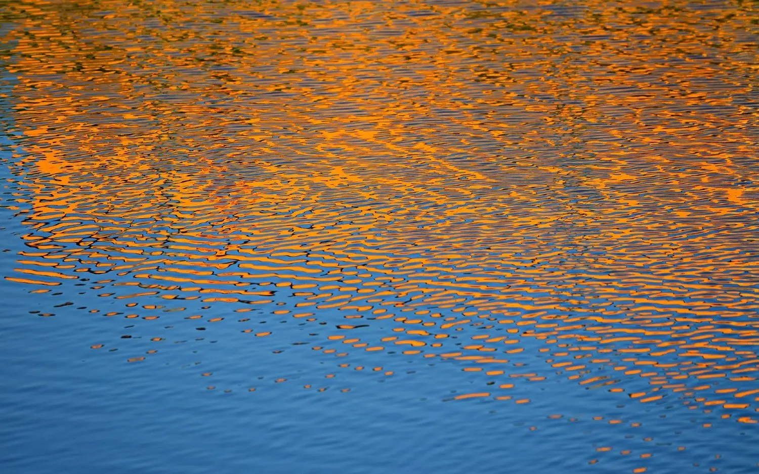 220803WATERVIJVERPIXABAY