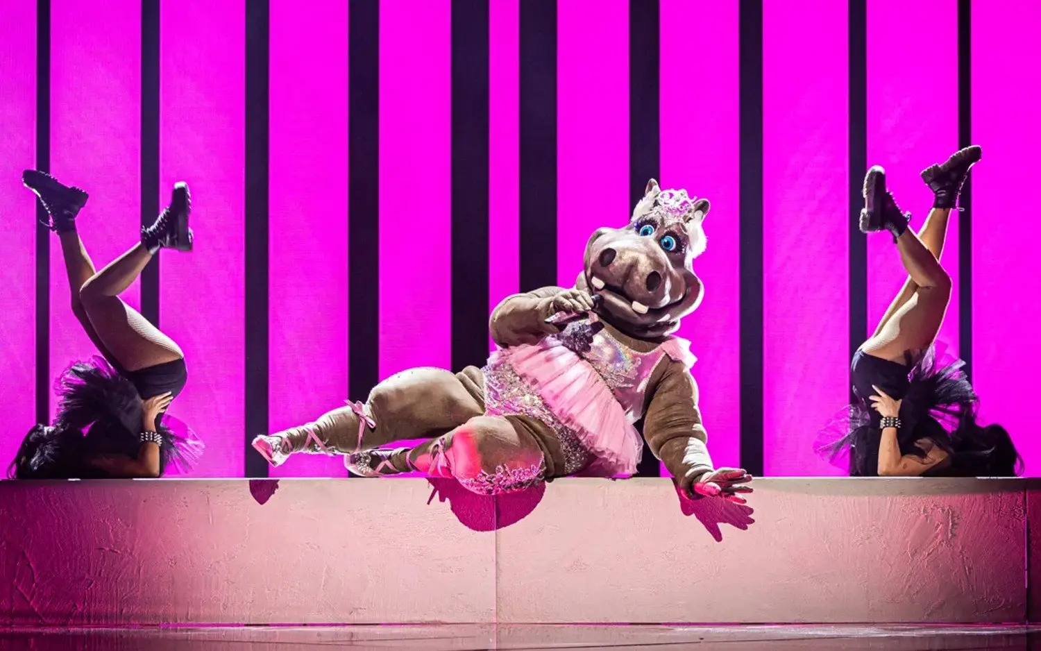 230330THEMASKEDSINGERHIPPOVTM