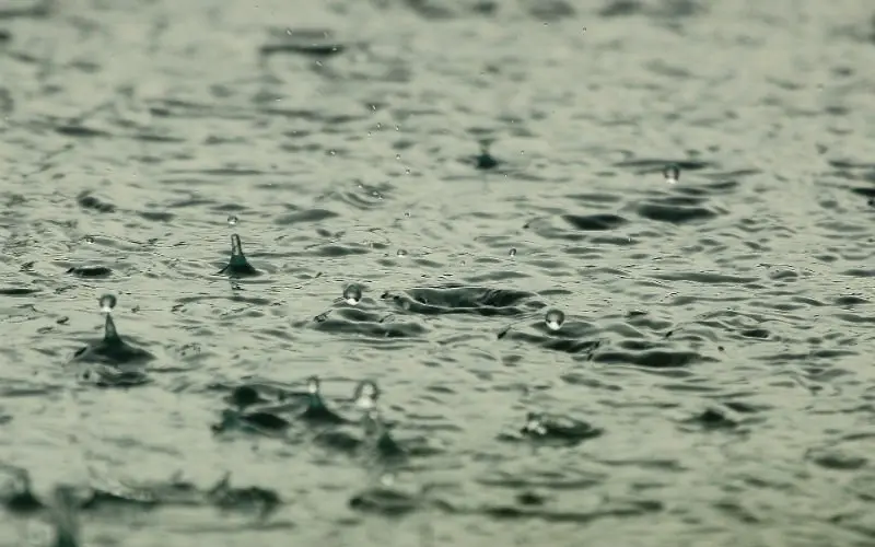Lage waterstanden