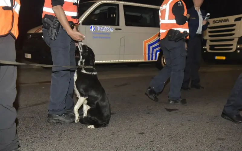 PolitieactiePhotonews
