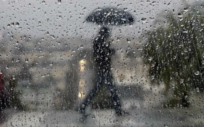 rain generic umbrella raindrops