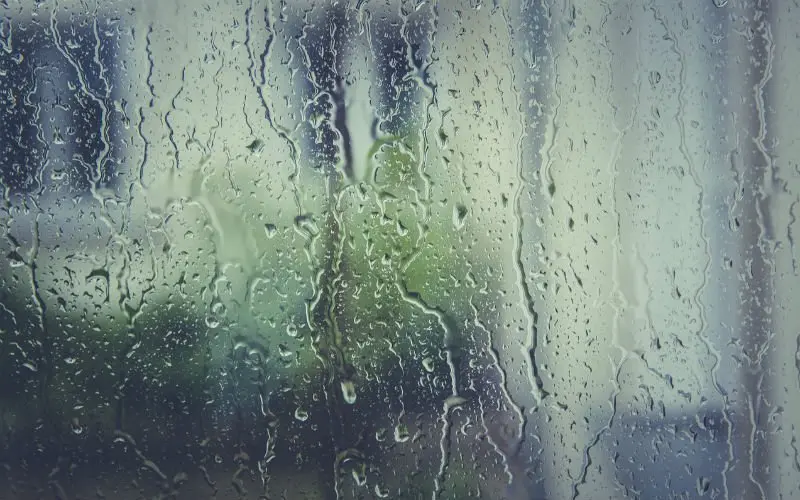 regen