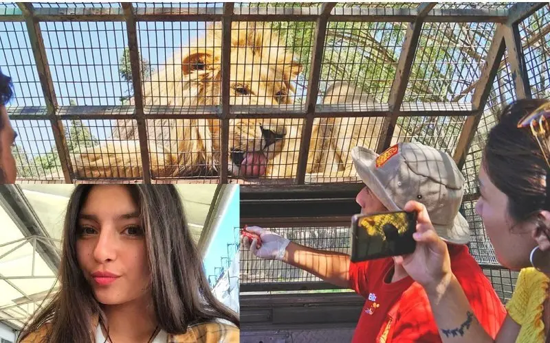 safariparkDAILYSTAR