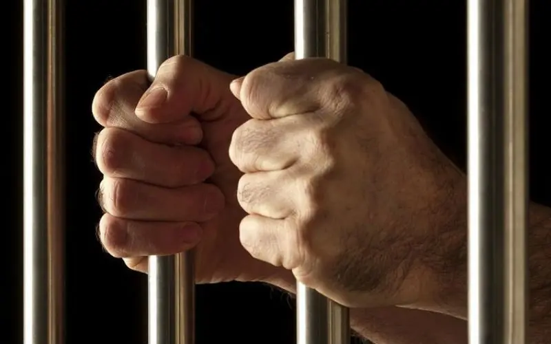 tralies