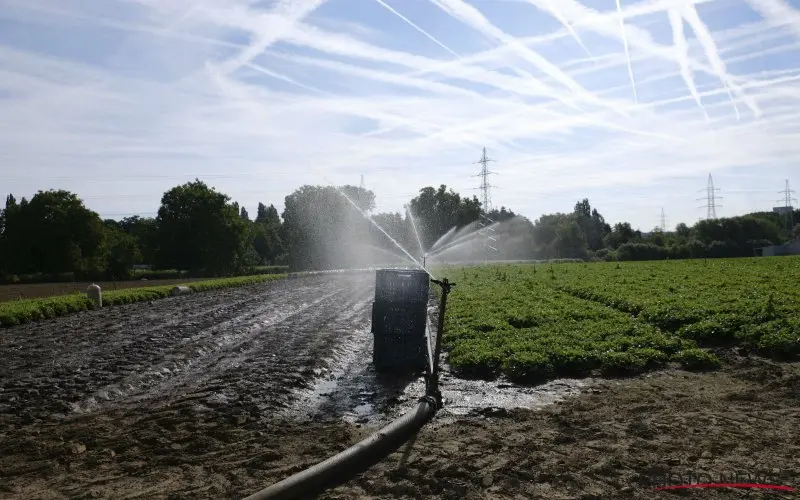 waterschaarste
