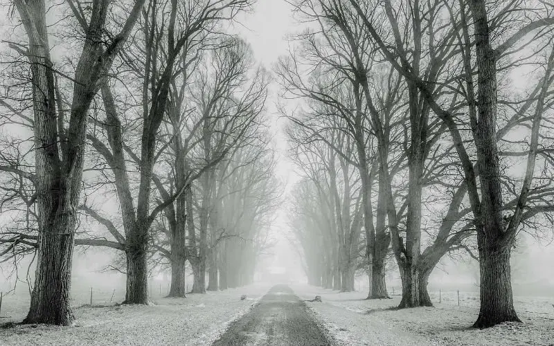 winter 1890653 1280