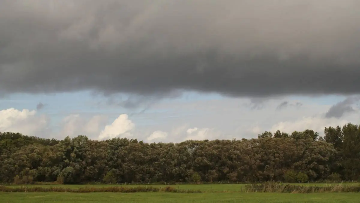 250726DONKEREDREIGENDEWOLKEN