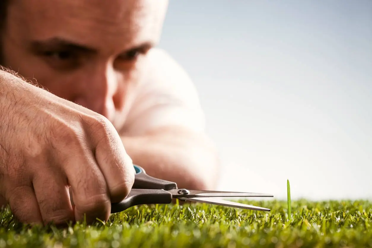 iStock-155446464
