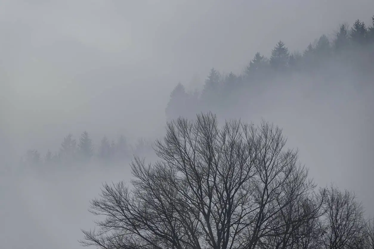 Mist