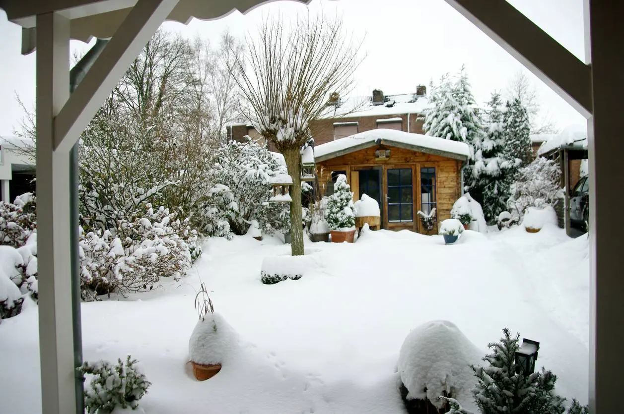 Sneeuw