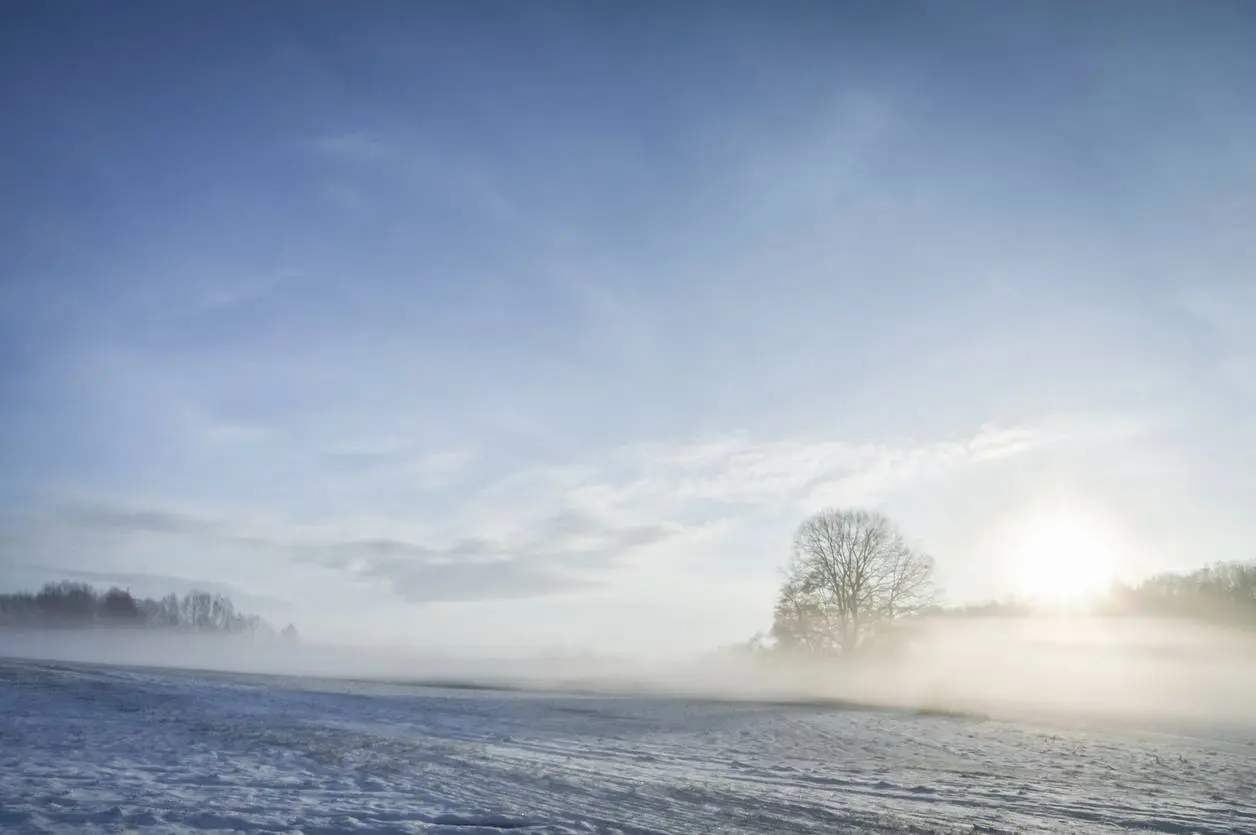 iStock-1061031010