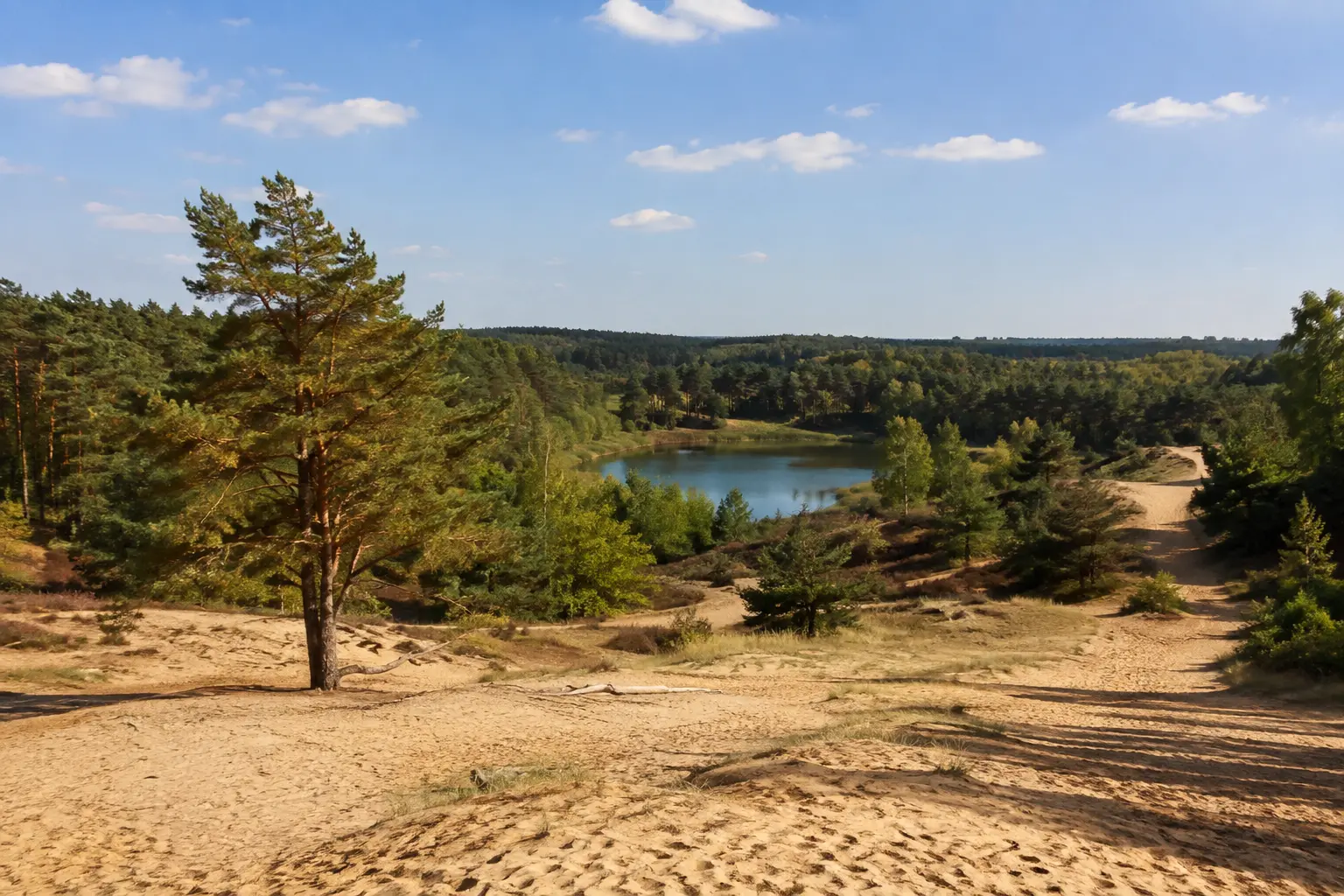 Natuurgebied