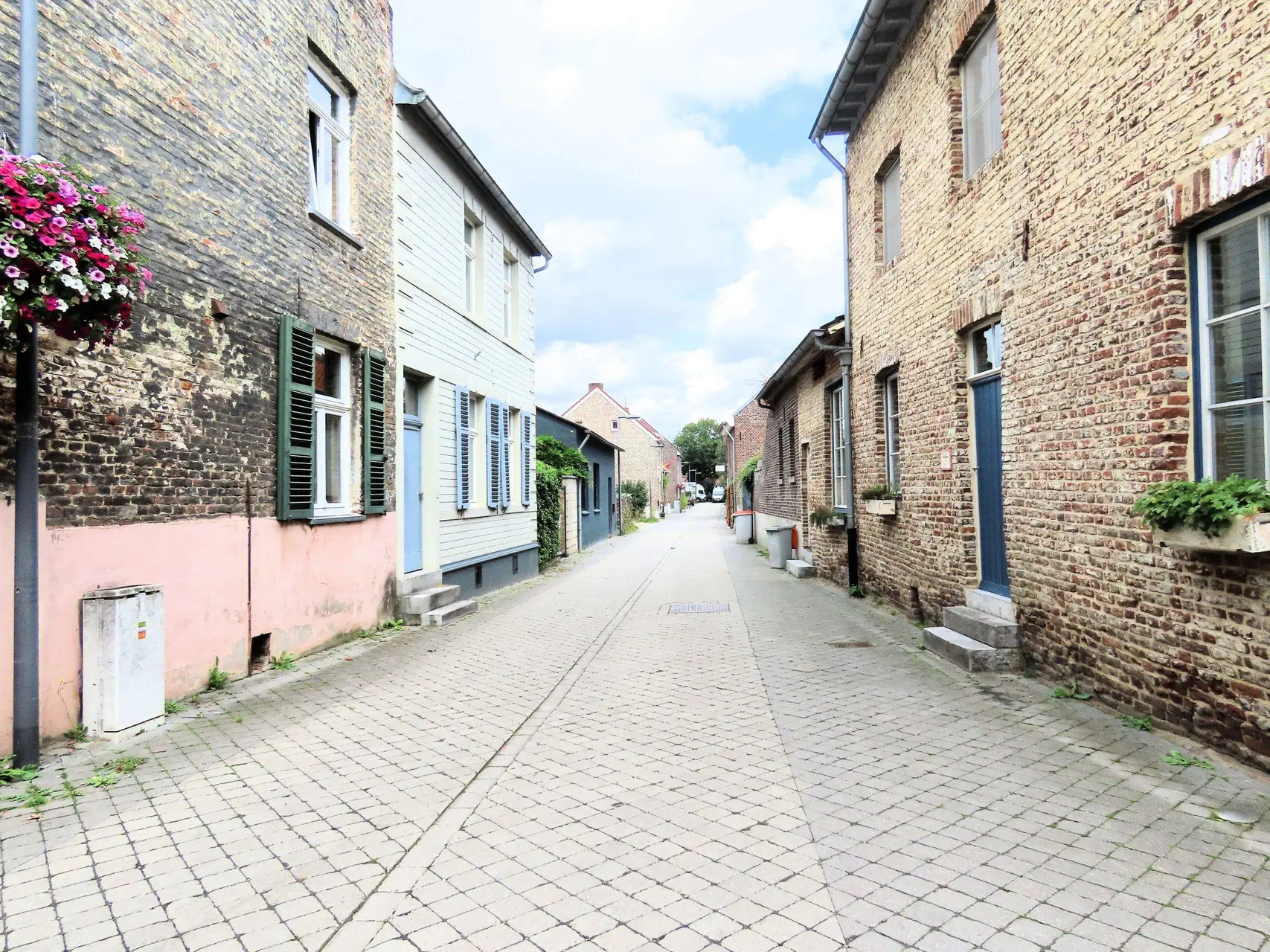 San Lavie