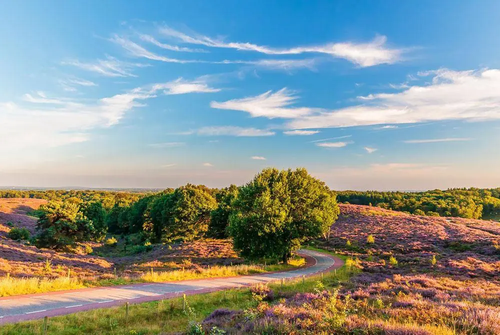 Veluwe