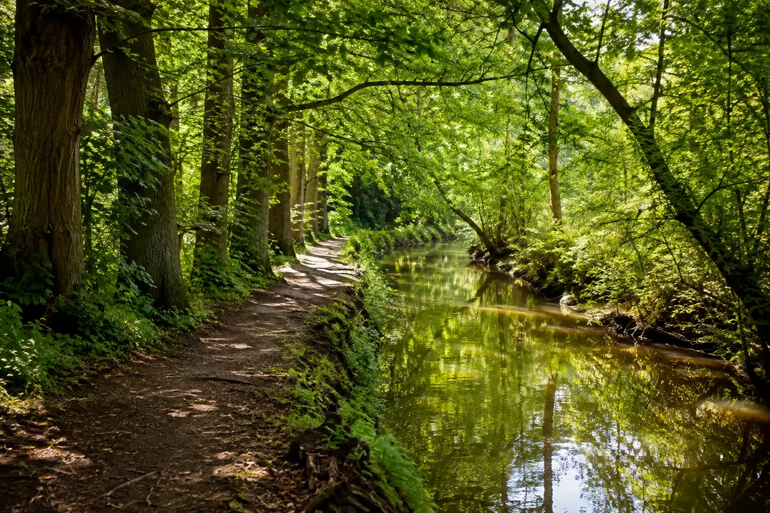 Wandelingbos