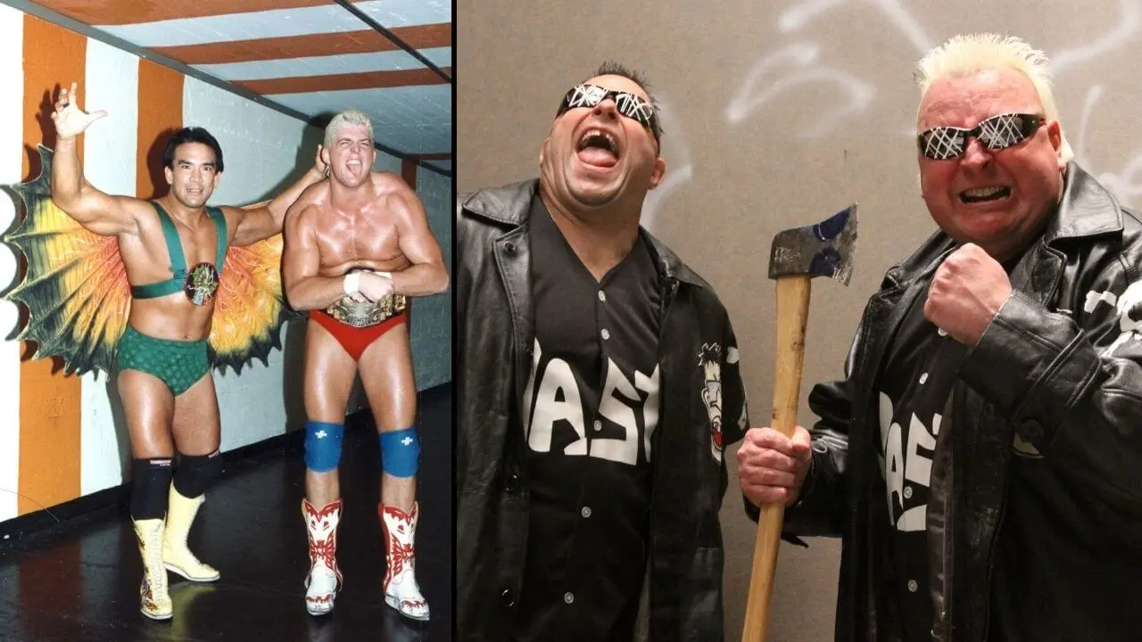 wwf superstars 1993 rhodes nasty boys steamboat