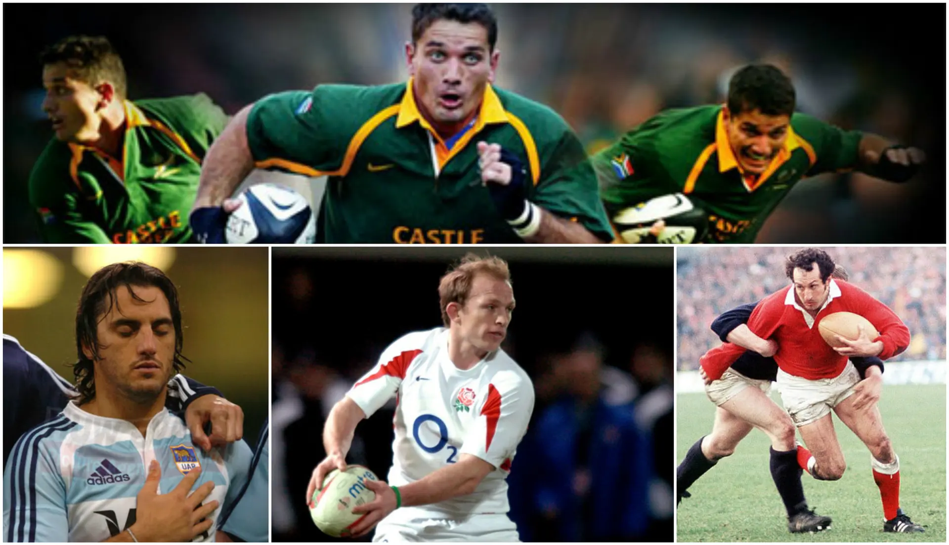 scrum halves