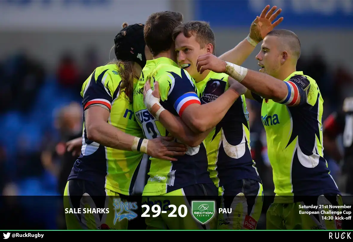 sale sharks