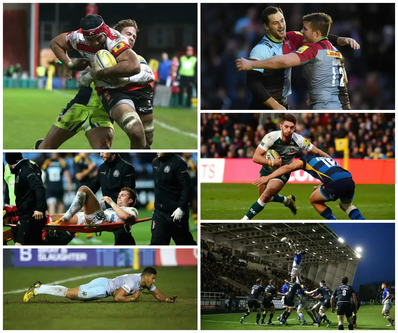 harlequins