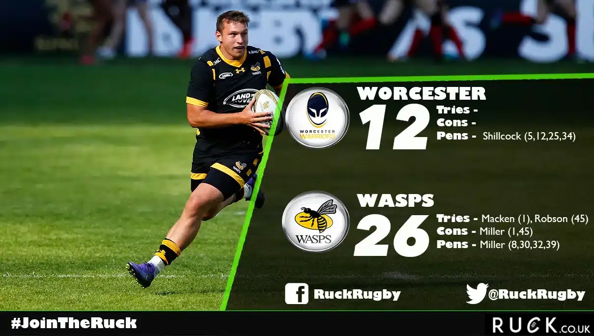 wasps