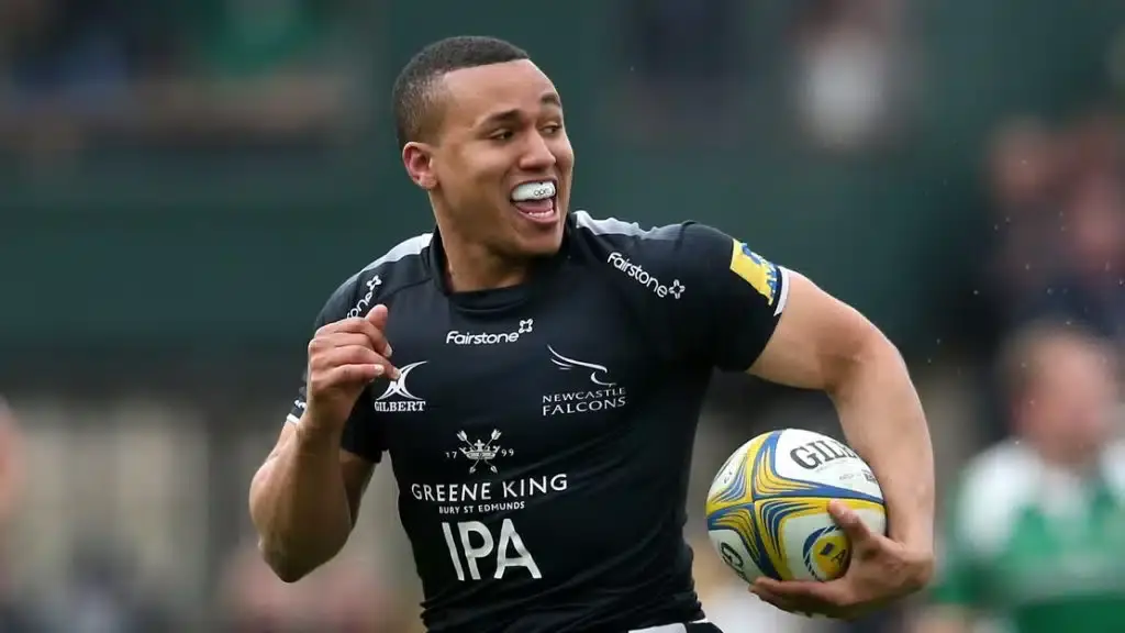 mwatson wasps 2202 1024x576