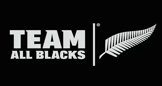 teamabs fb