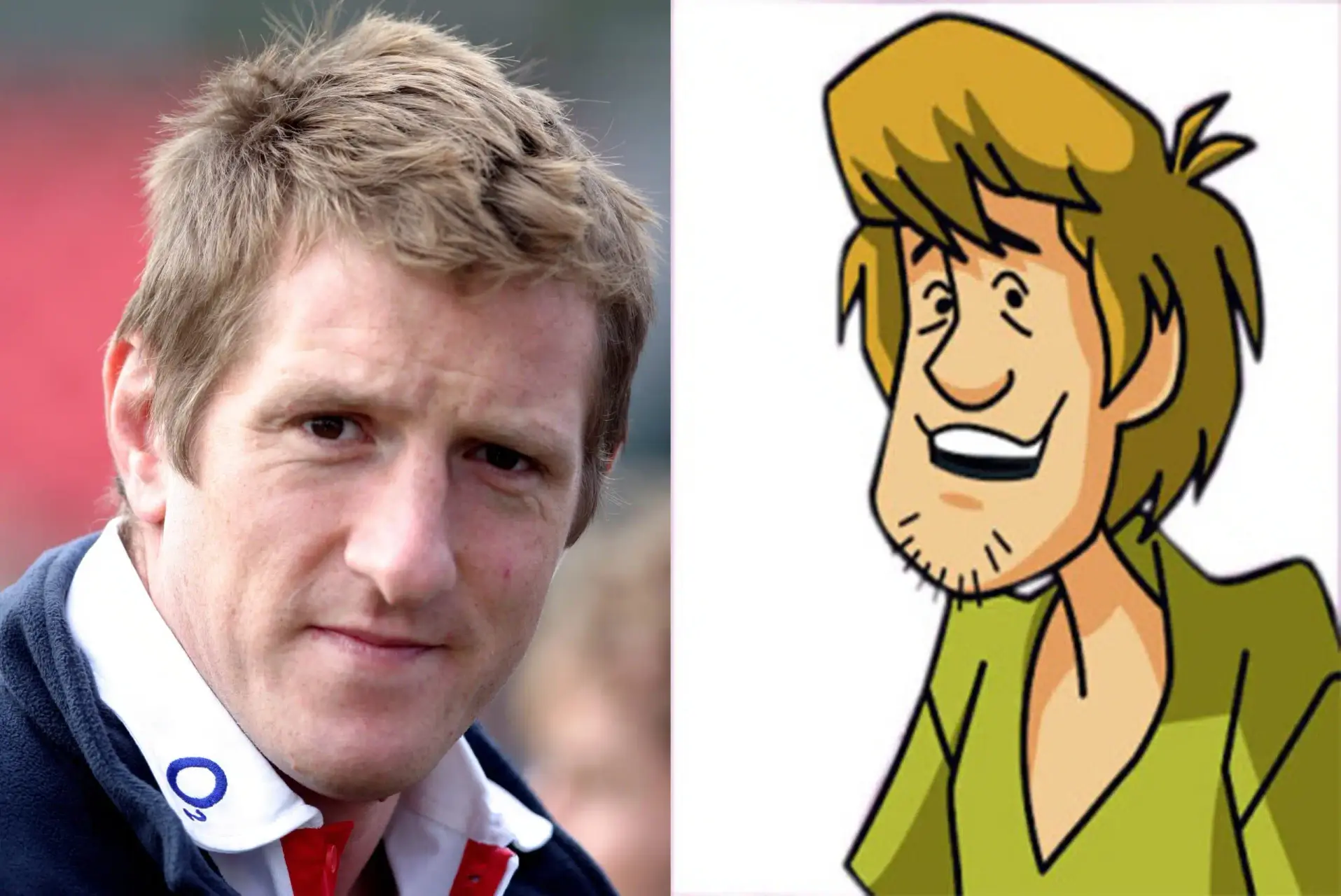 shaggy