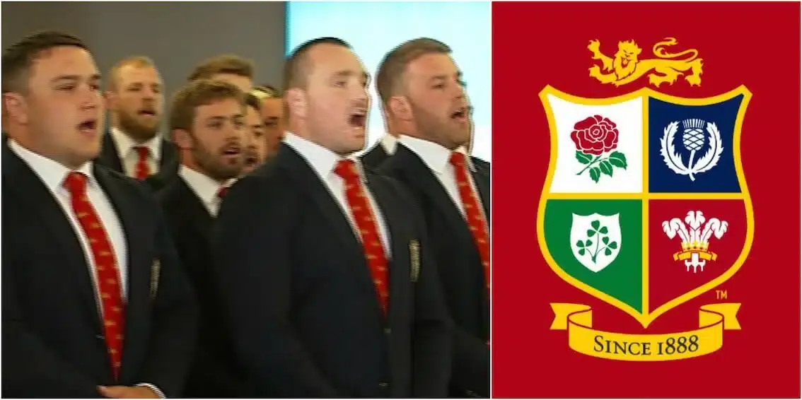 lions 8