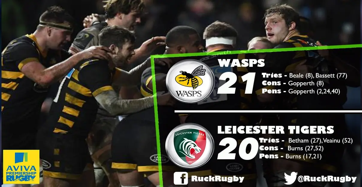 wasps