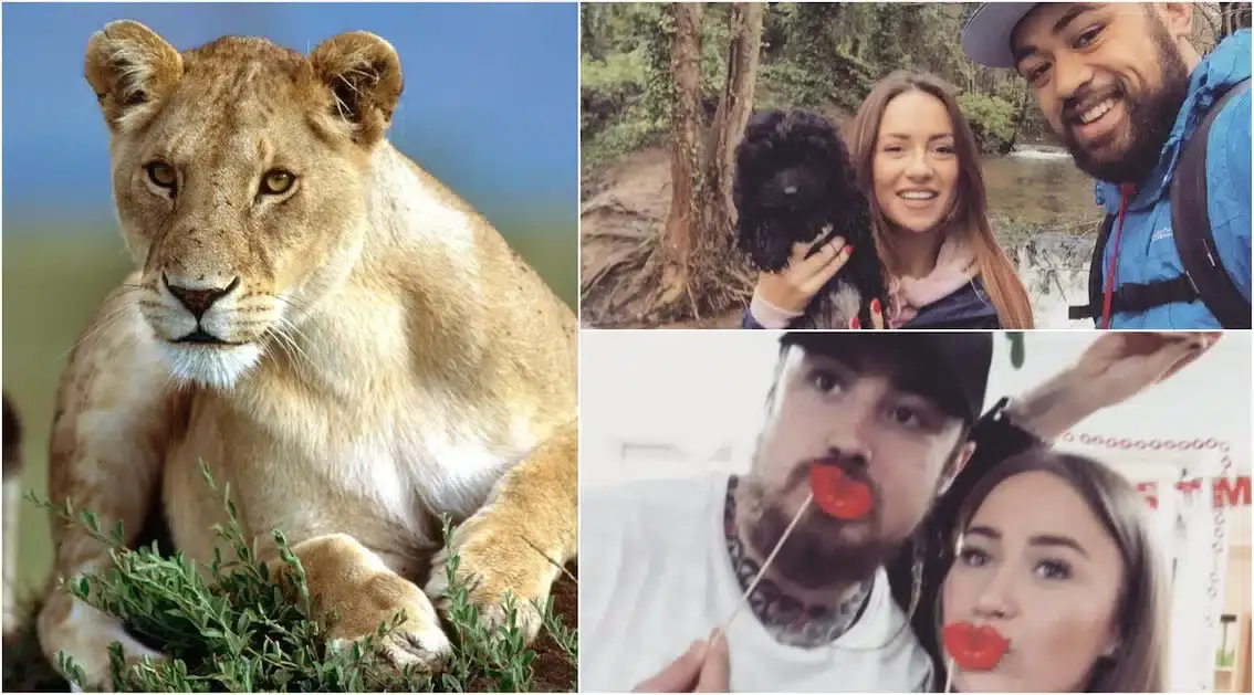 lionesses 1