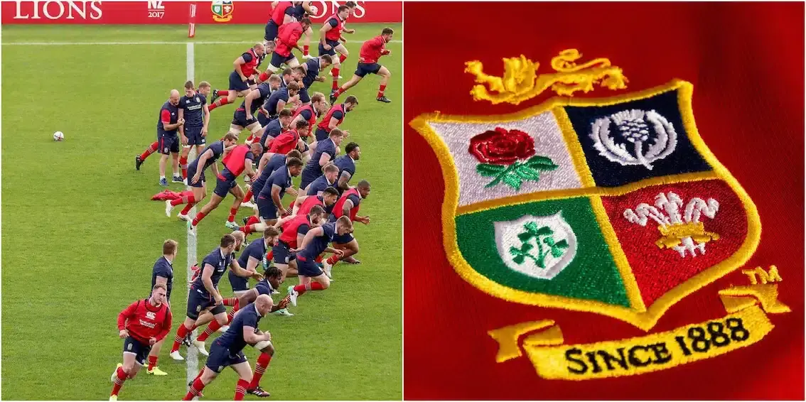 lions 10