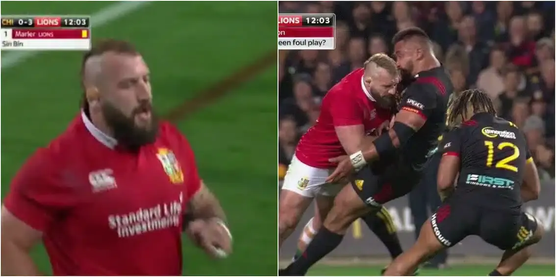 marler 1
