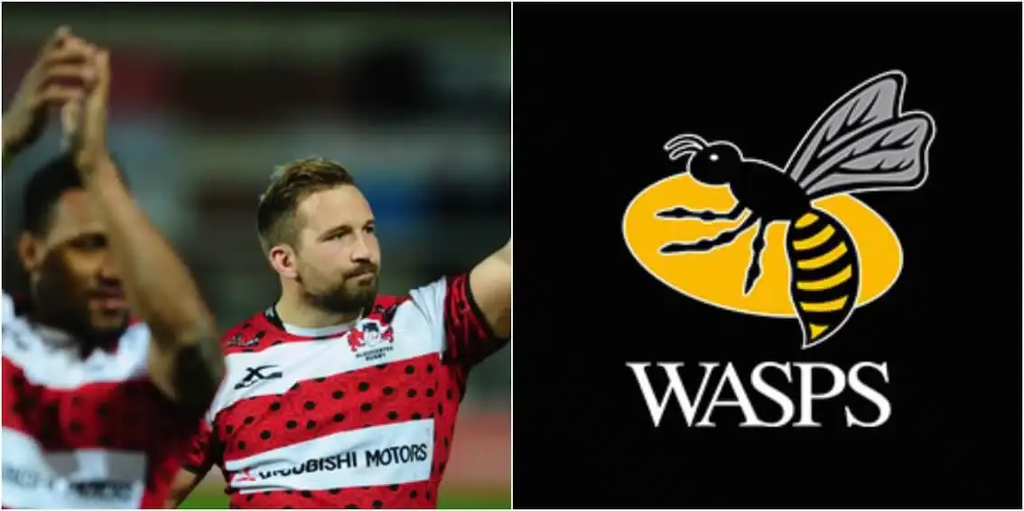 wasps 2