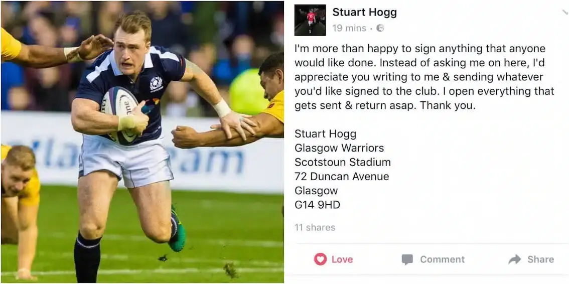 hogg 6