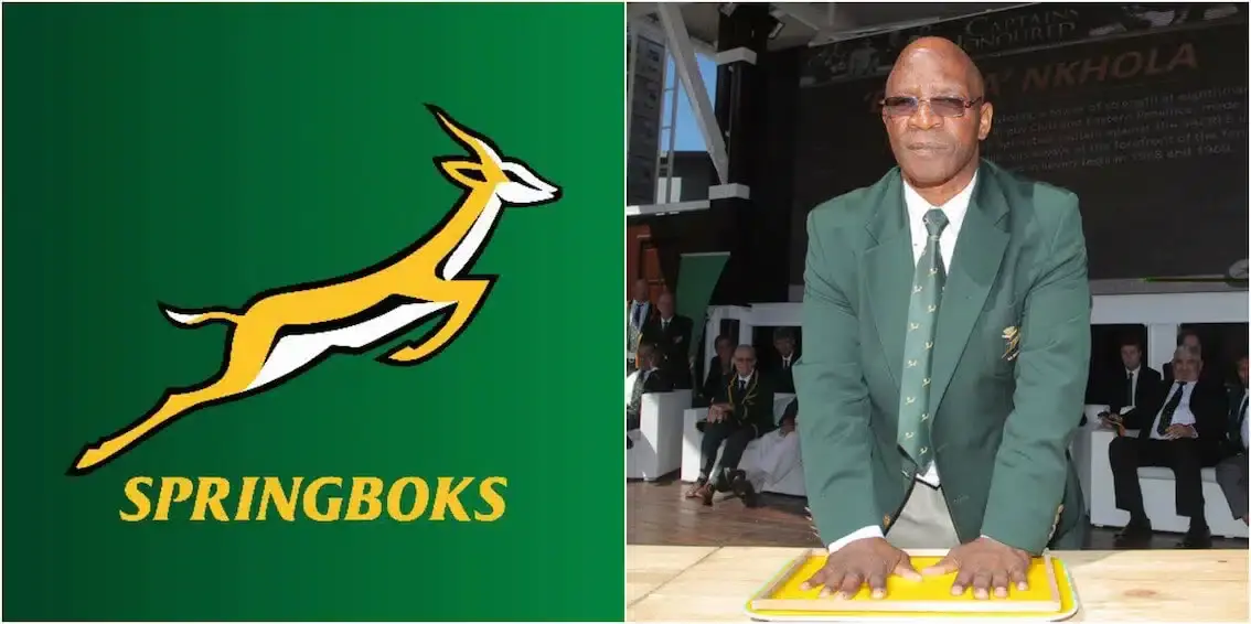 springbok