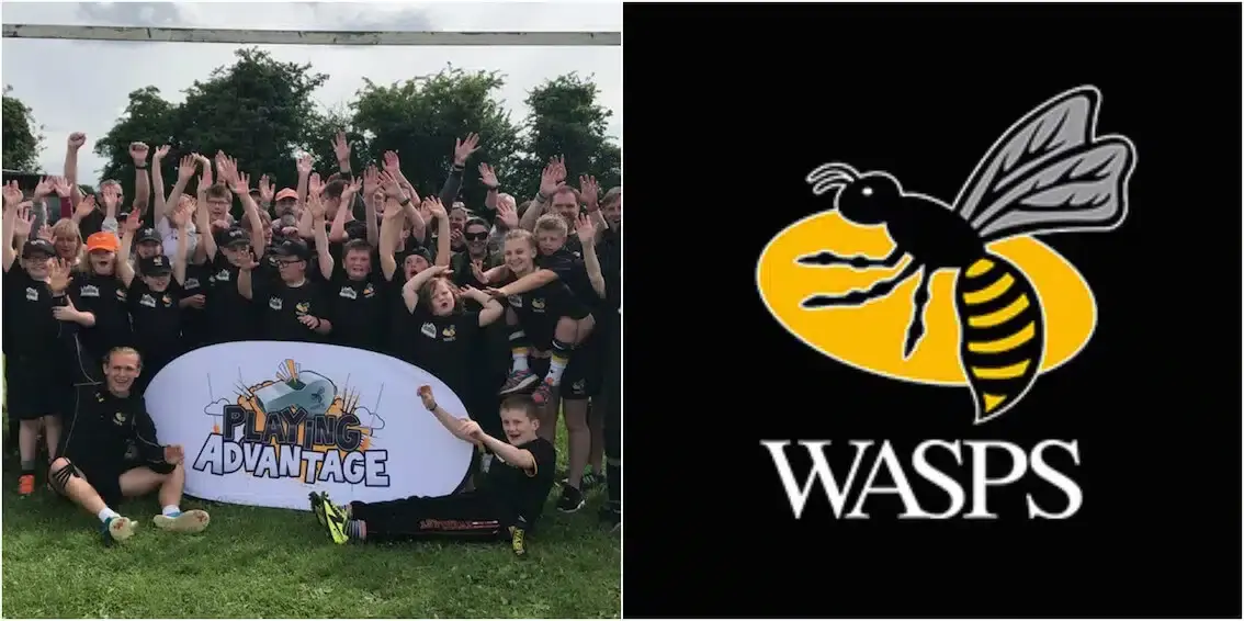 wasps 5