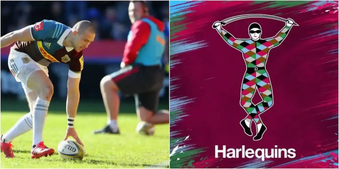 harlequins 1