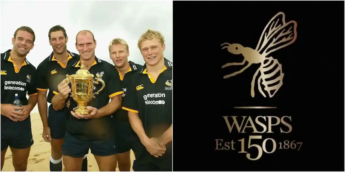 wasps