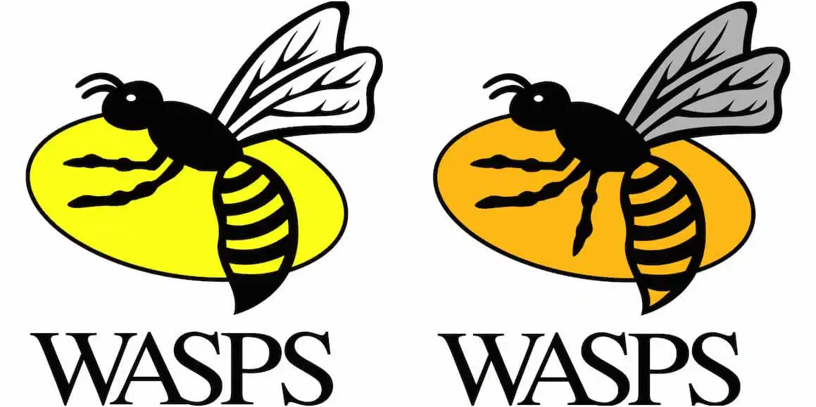 wasps 8