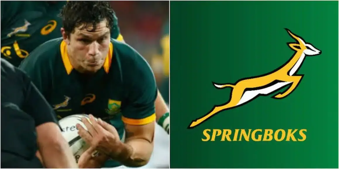 springboks