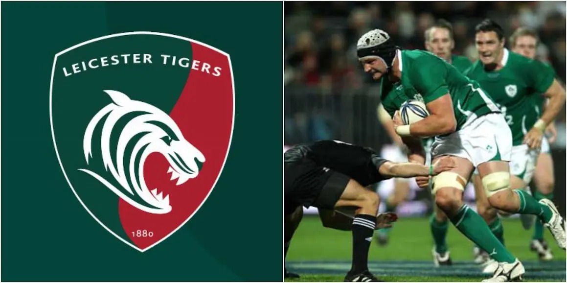 tigers