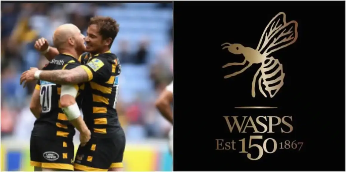wasps 10