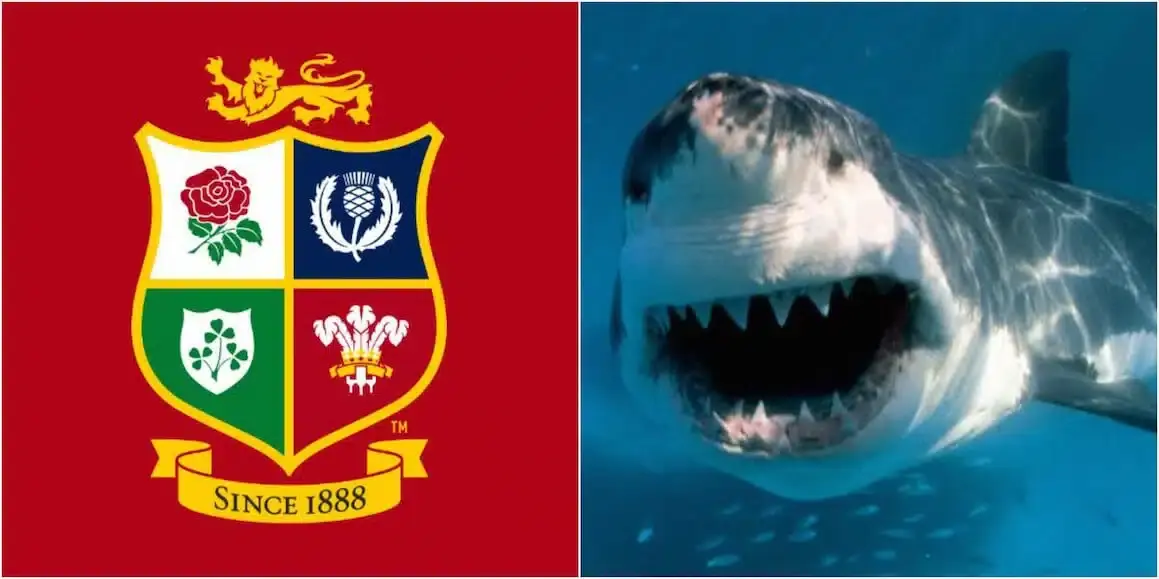 lions 57