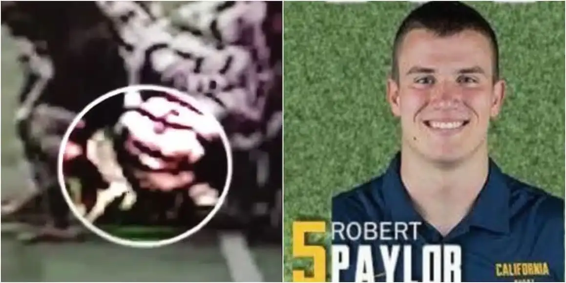 robert