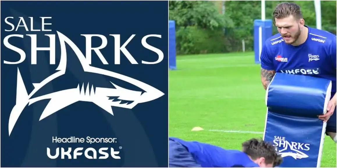 sharks 1
