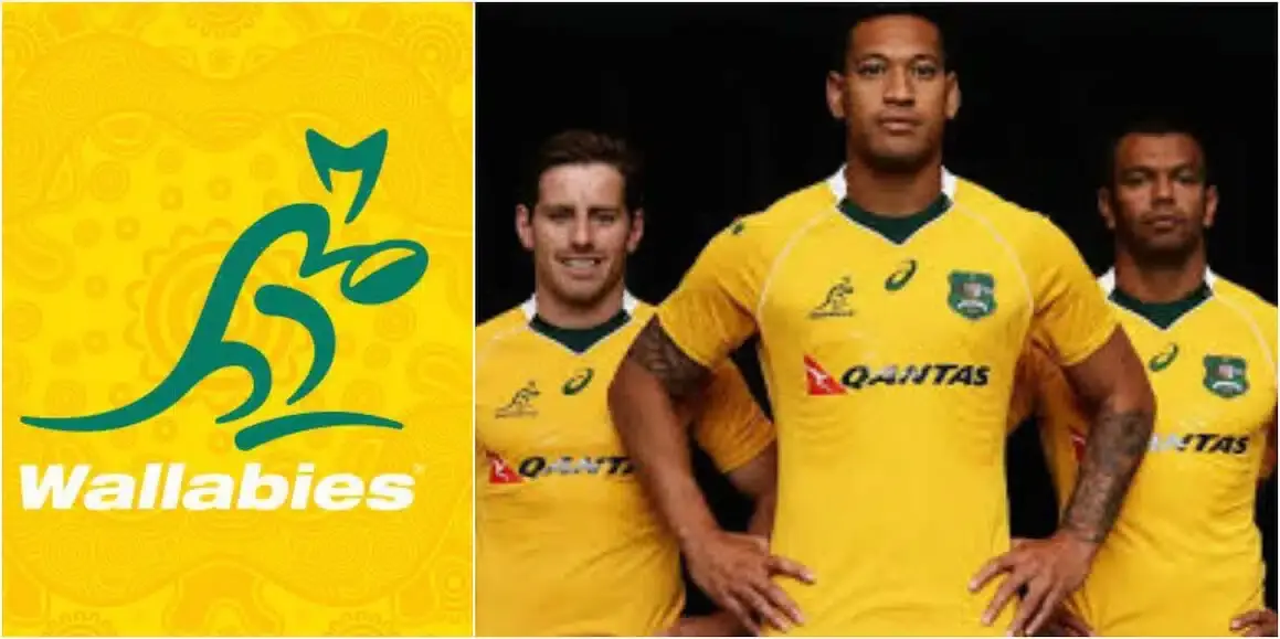 wallabies 3