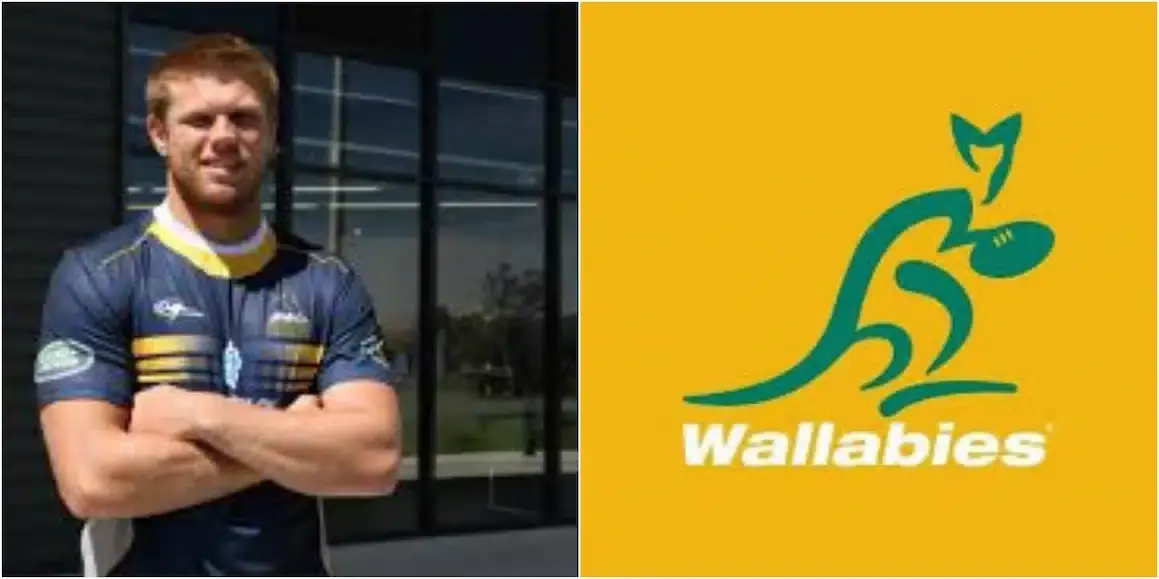 wallabies