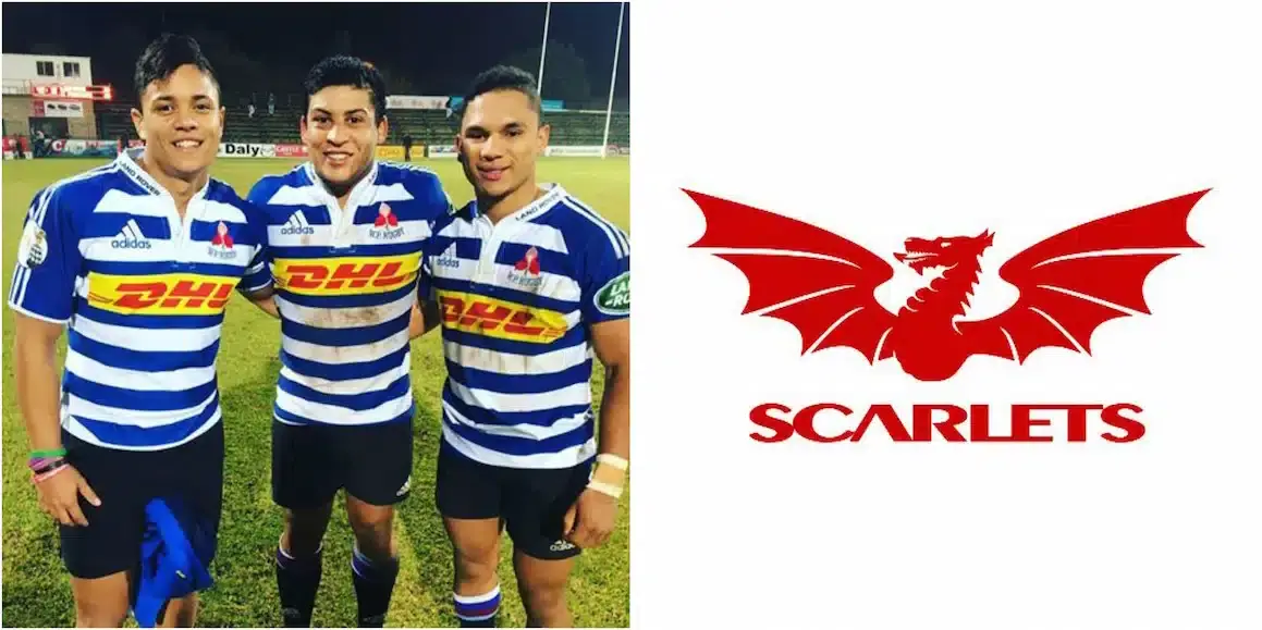 scarlets