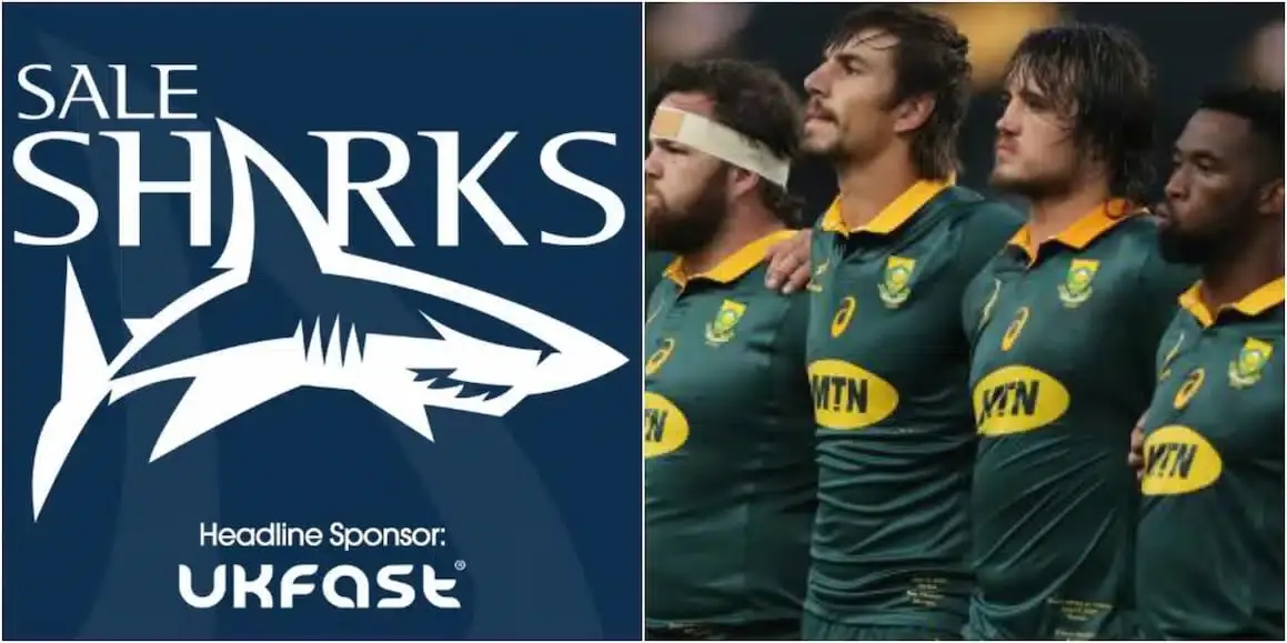 sharks 2