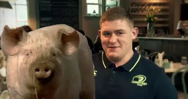 tadhg furlong pig farmer 1